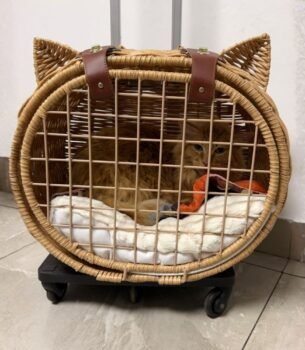 Transportador con ruedas